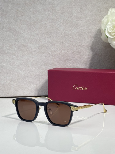 Cartier Sunglasses AAAA-13970