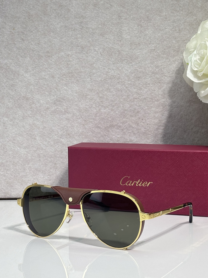 Cartier Sunglasses AAAA-13616