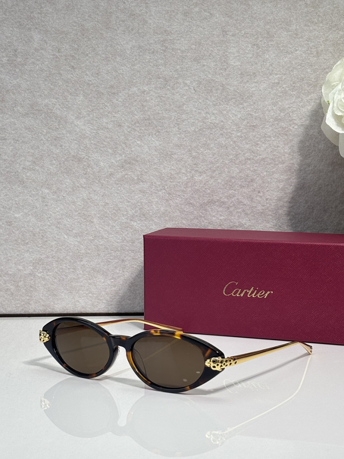 Cartier Sunglasses AAAA-13683