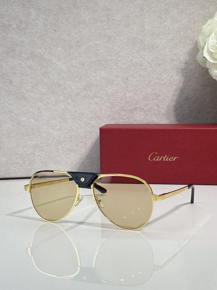 Cartier Sunglasses AAAA-14056