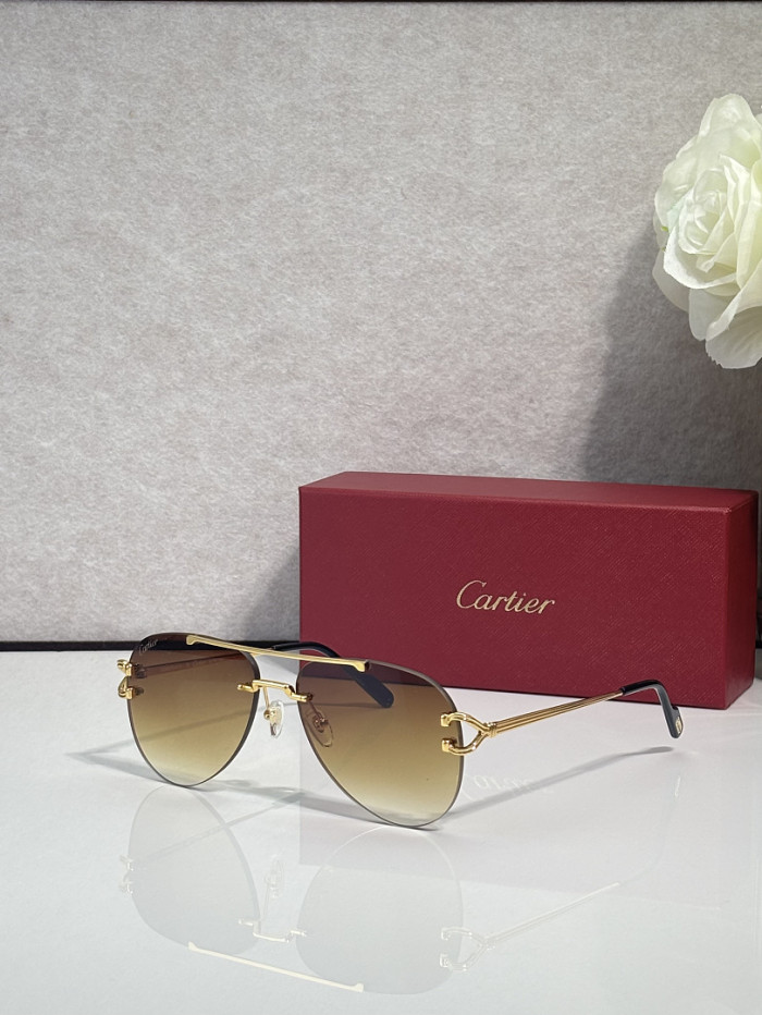 Cartier Sunglasses AAAA-13644