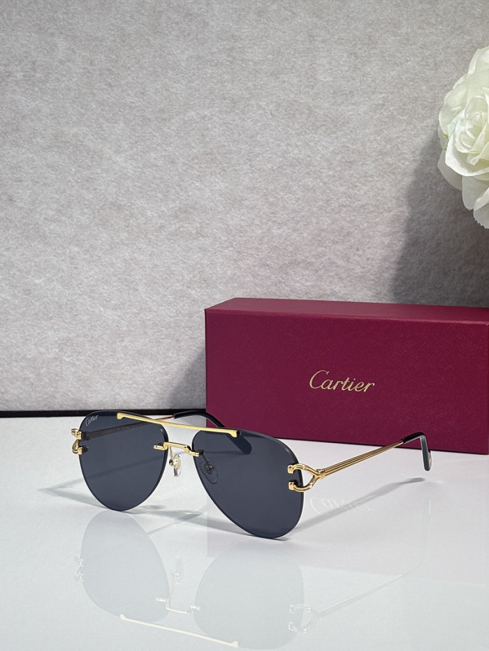 Cartier Sunglasses AAAA-13645