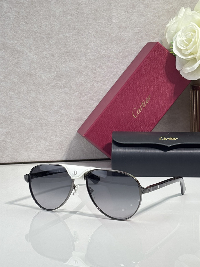 Cartier Sunglasses AAAA-13879