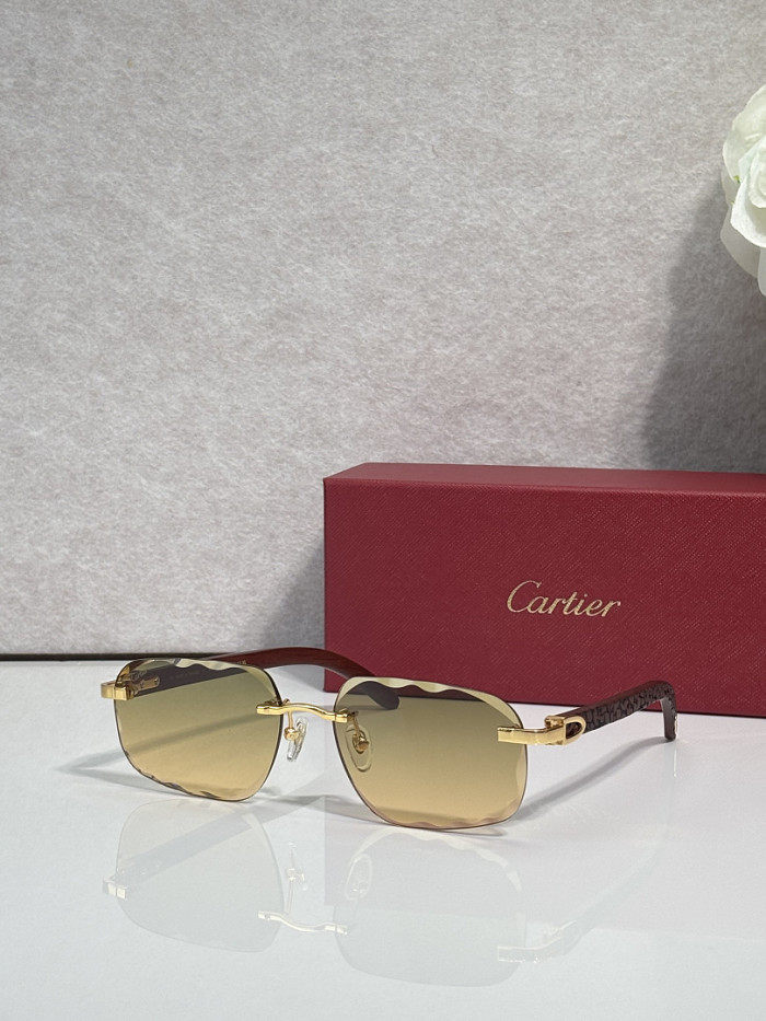Cartier Sunglasses AAAA-13608