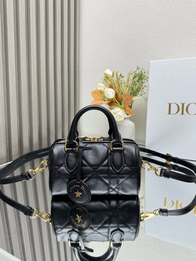 Dior High End Quality Bags-225