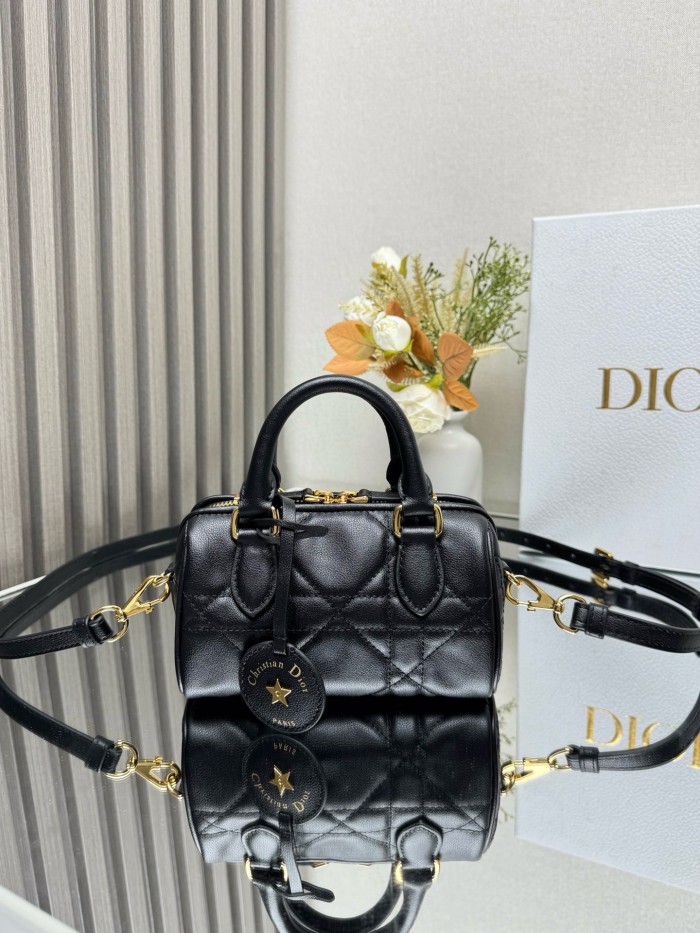 Dior High End Quality Bags-225