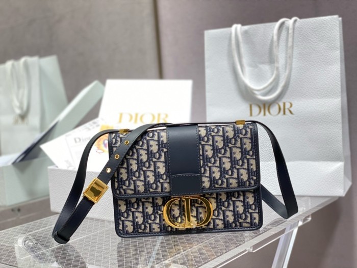 Dior High End Quality Bags-146