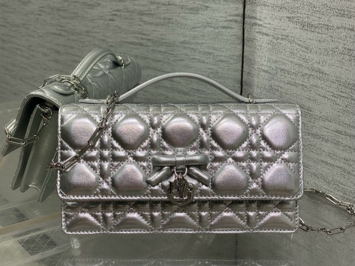 Dior High End Quality Bags-171