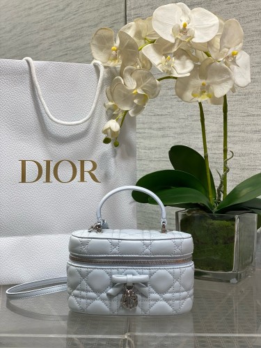 Dior High End Quality Bags-162