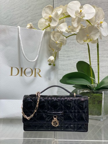 Dior High End Quality Bags-190
