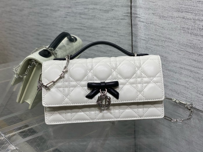 Dior High End Quality Bags-169