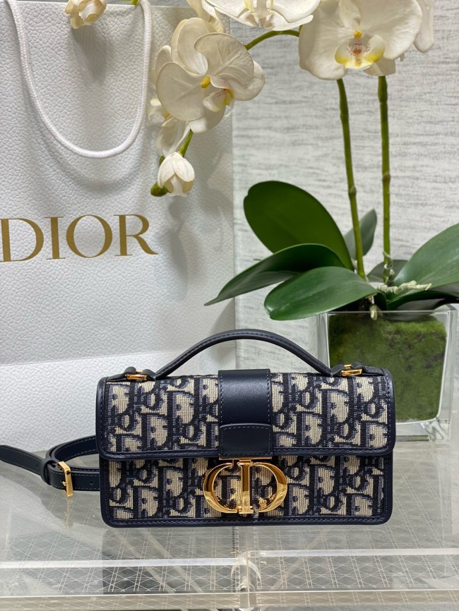 Dior High End Quality Bags-141
