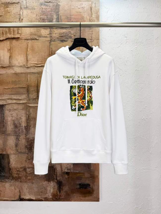 Dior Hoodies High End Quality-224