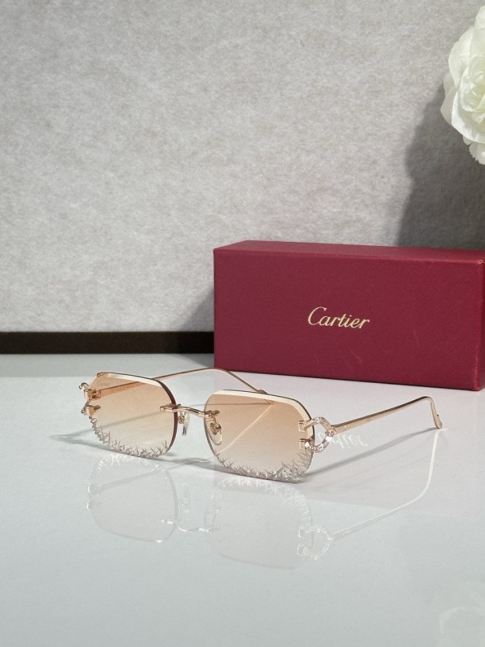 Cartier Sunglasses AAAA-14872