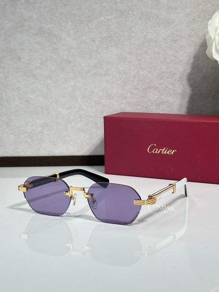 Cartier Sunglasses AAAA-14856