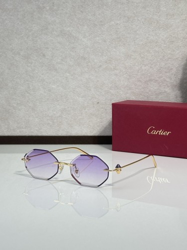 Cartier Sunglasses AAAA-14694