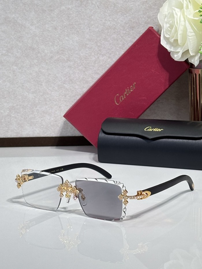 Cartier Sunglasses AAAA-14633