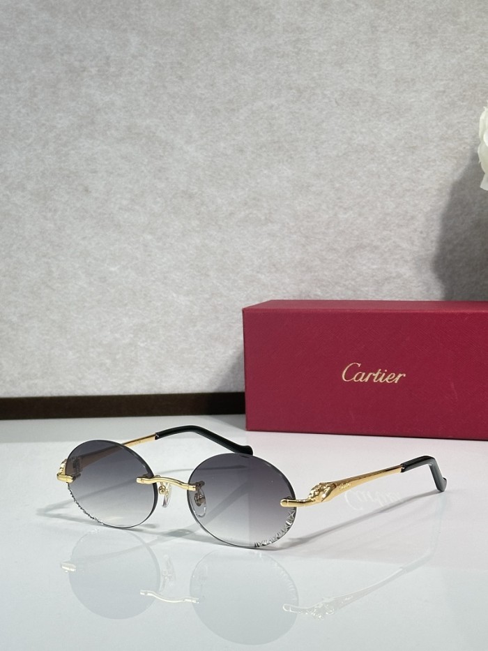 Cartier Sunglasses AAAA-14890