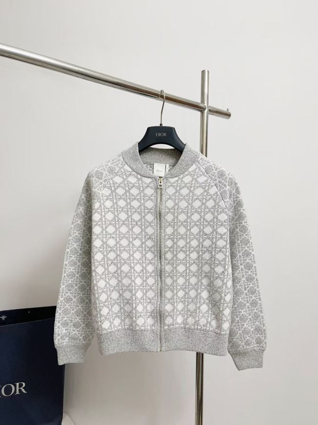 Dior Jacket High End Quality-265
