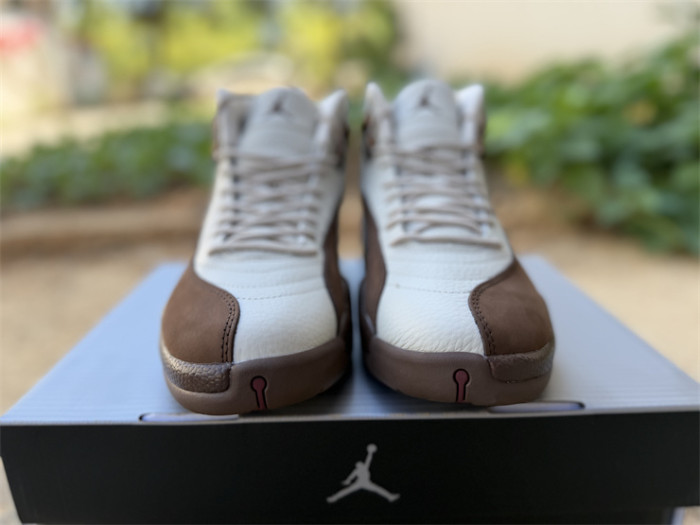 Authentic Air Jordan 12 “Fireside”