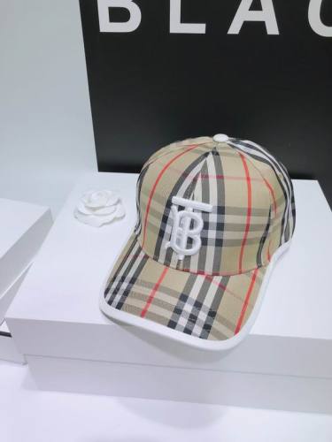 Burrerry Hats AAA-383