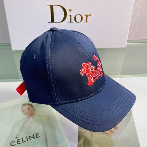Dior Hats AAA-594