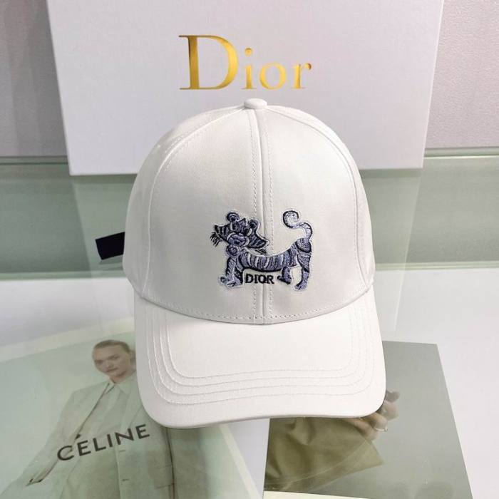 Dior Hats AAA-595