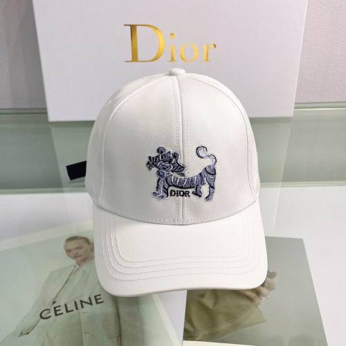 Dior Hats AAA-595
