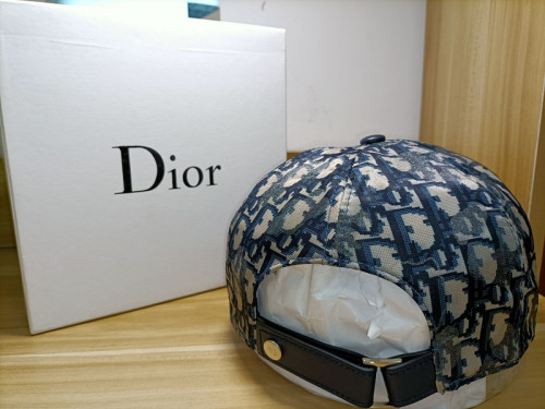 Dior Hats AAA-547