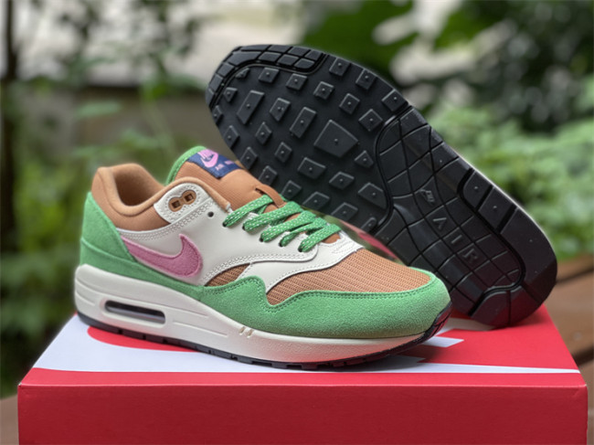 Authentic Nike Air Max 1 “Treeline” Women