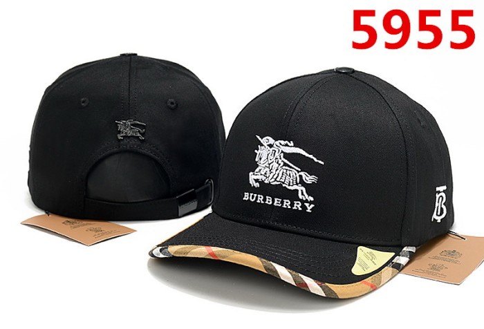 Burberry Hats-010