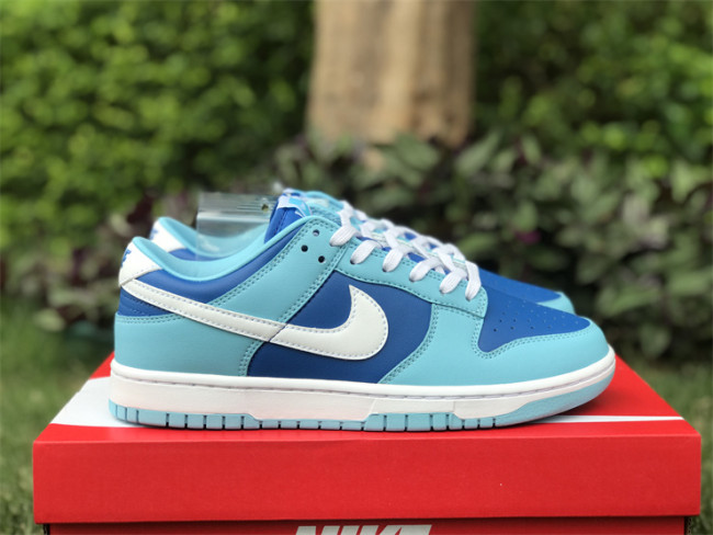 Authentic Nike Dunk Low “Argon”