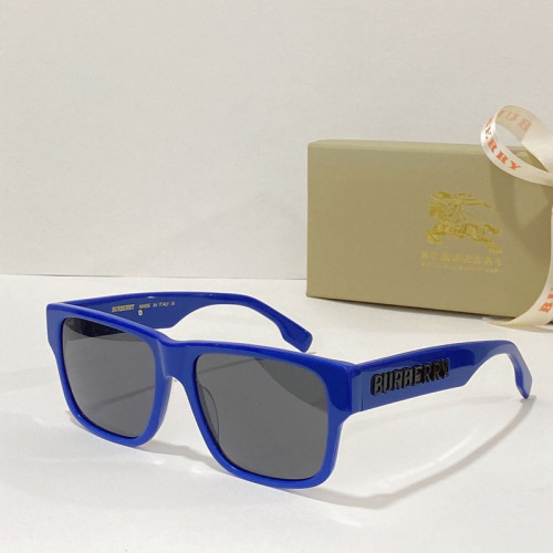 Burberry Sunglasses AAAA-1048