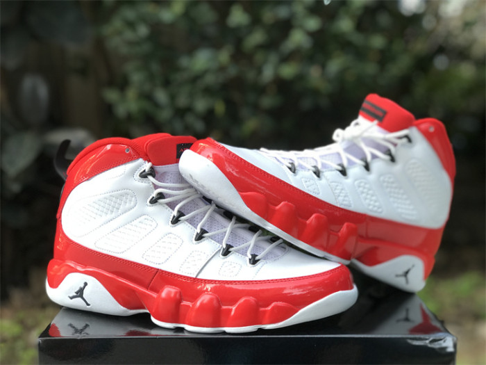 Authentic Air Jordan 9 “Gym Red”