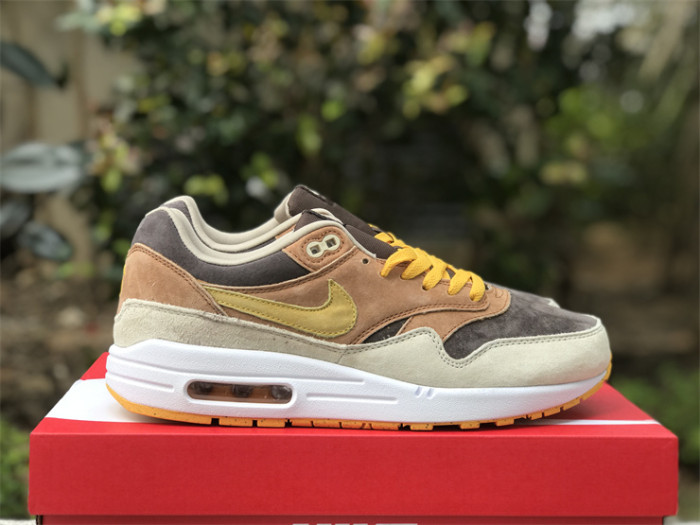 Authentic Nike Air Max 1 “Ugly Duckling”