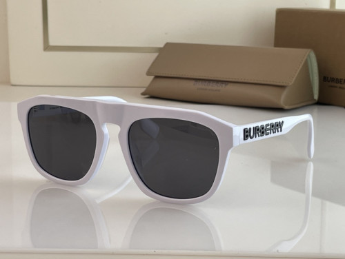 Burberry Sunglasses AAAA-1734