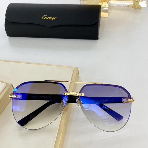 Cartier Sunglasses AAAA-2071