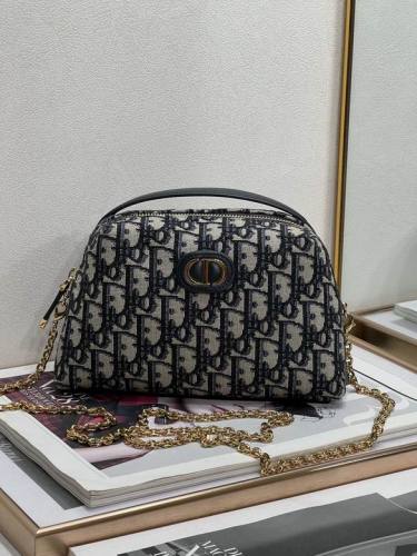 Dior Handbags AAA-005