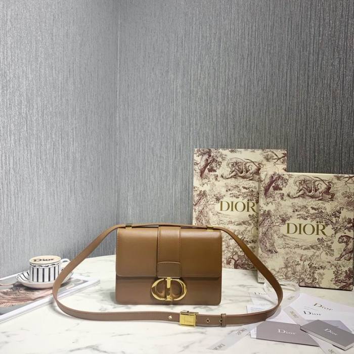 Dior Handbags AAA-119