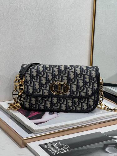 Dior Handbags AAA-028