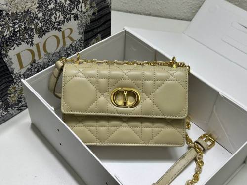 Dior Handbags AAA-079