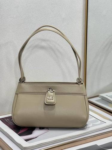 Dior Handbags AAA-091
