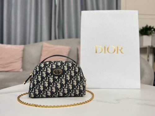 Dior Handbags AAA-002