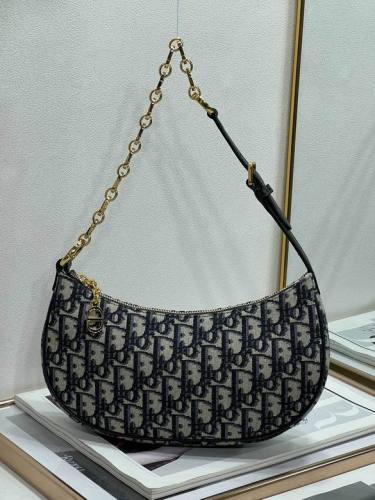 Dior Handbags AAA-021
