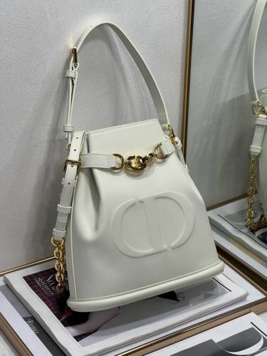 Dior Handbags AAA-097