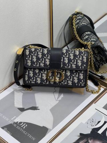 Dior Handbags AAA-013