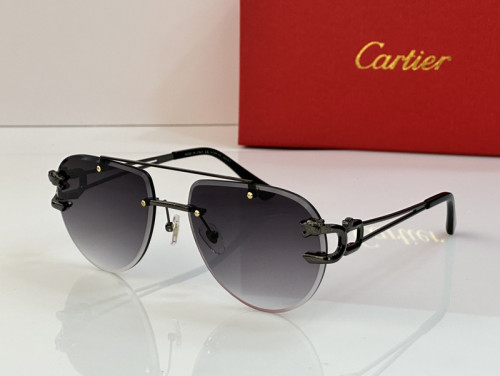 Cartier Sunglasses AAAA-2816