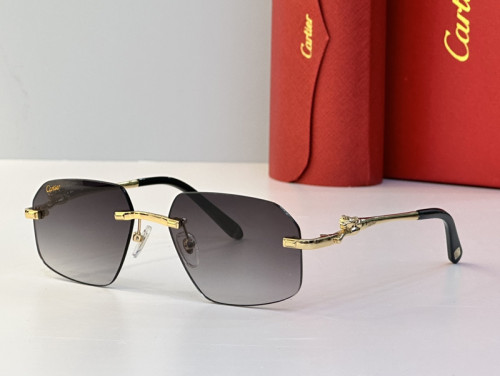 Cartier Sunglasses AAAA-2564