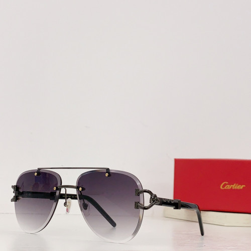 Cartier Sunglasses AAAA-2779