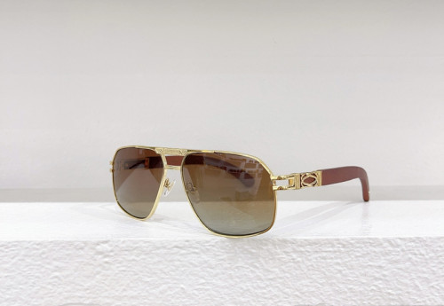 Cartier Sunglasses AAAA-3494